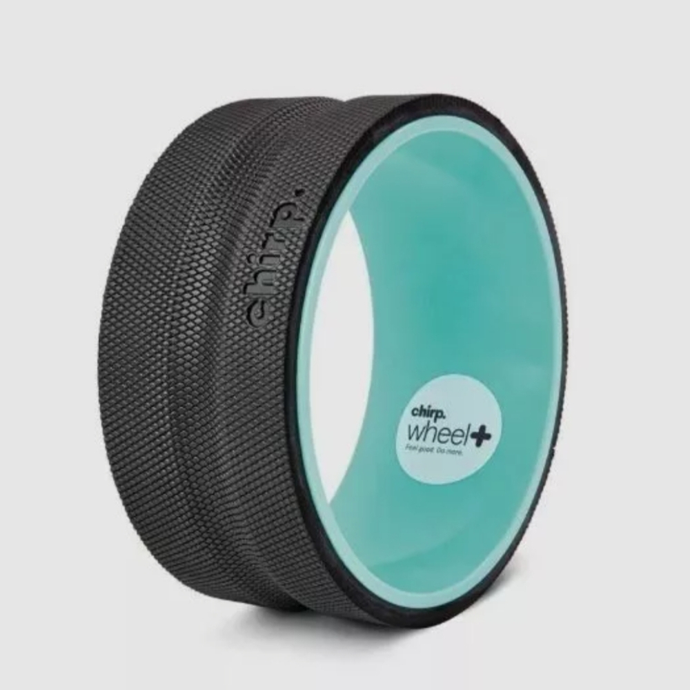 Chrip Wheel 10 inch back stretcher